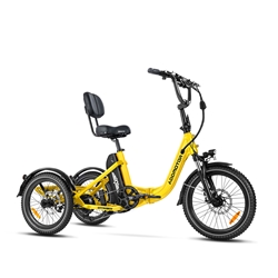 Addmotor Citytri E-310 Electric Trike